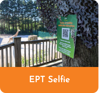EPT Selfie